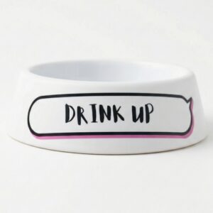 Drink Up Pet Bowl. Pet Bowls and Jars. Handmade pet accessory by Wild Mongoo Pet, George, South Africa.