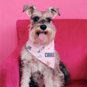 Good Boy/Girl Bandanna. Bandanas. Handmade pet accessory by Wild Mongoo Pet, George, South Africa.