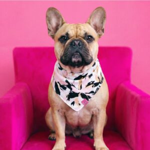 Paw De Fleur Bandanna