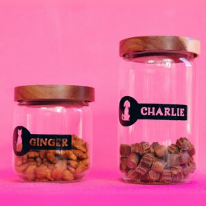 Pet Treat Jar. Pet Bowls and Jars. Handmade pet accessory by Wild Mongoo Pet, George, South Africa.