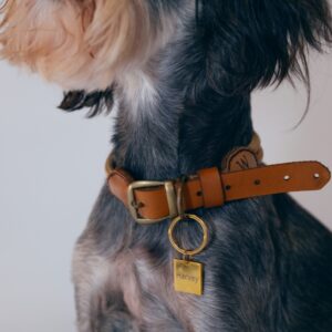 Engraved Tags