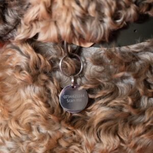 Round Dog Tag (Large). Tags. Handmade pet accessory by Wild Mongoo Pet, George, South Africa.