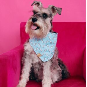 Bone Appétit Bandanna. Bandanas. Handmade pet accessory by Wild Mongoo Pet, George, South Africa.