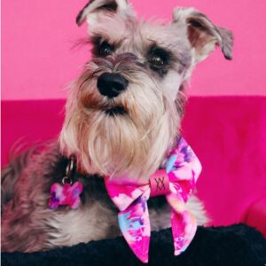 Paint Me Wild Sailor Bow Tie. Bow Ties. Handmade pet accessory by Wild Mongoo Pet, George, South Africa.