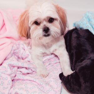 Blankets