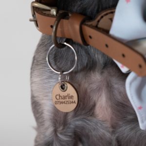 Leather ID Tag - Single. Tags. Handmade pet accessory by Wild Mongoo Pet, George, South Africa.