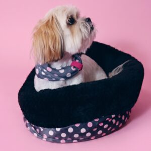 Ball is Life Pet Bed