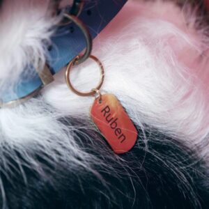 "Dog Tag " dog Tag. Tags. Handmade pet accessory by Wild Mongoo Pet, George, South Africa.