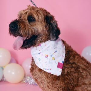 Birthday