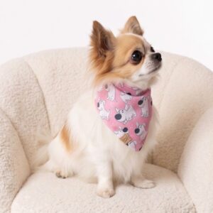 Toon Tails Bandanna