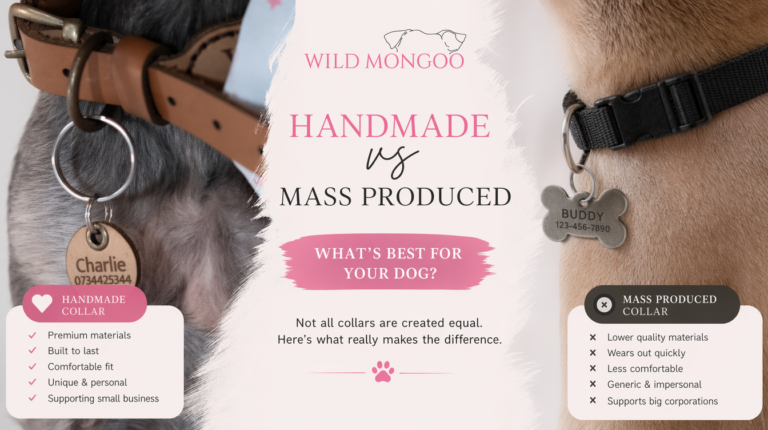 Handmade vs Mass-Produced Pet Accessories – Is the Price Difference Worth It?