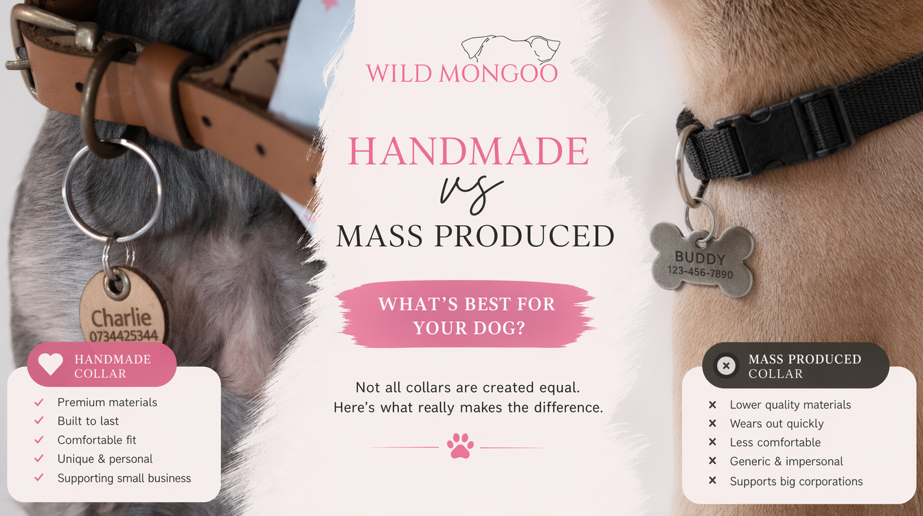 Handmade vs Mass-Produced Pet Accessories - Is the Price Difference Worth It?